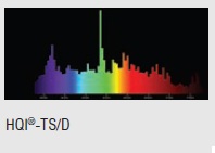  ������ ���� �����